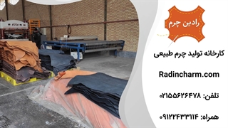 کارخانه تولیدی چرم طبیعی رادین
