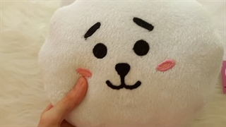 عروسک ار جی. Bt21