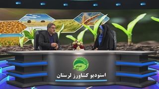 خاک و امنیت غذایی