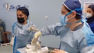 آشنایی با مراحل جراحی اسلیو معده