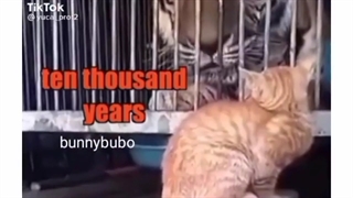 پیام ناشناس