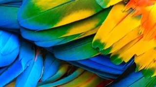 تلویزیون ۵۰ اینچ هایسنس مدل 50B7100  Hisense —> 50B7100 کیفیت تصویر: 4K UHD