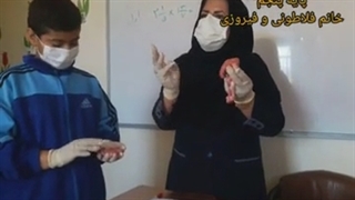 تشریح مغز گوسفند