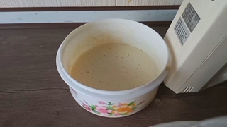 آموزش کرمفیل خانگی_توسط روژین روناسی
