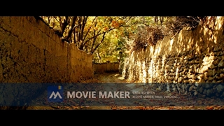 مراقبت از گیاهان در پاییز_مشاوره ی واتساپ09130713048_سبزینه مارال