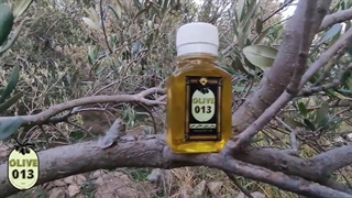 روغن زیتون مالشی رودبار (فروشگاه زیتون 013)