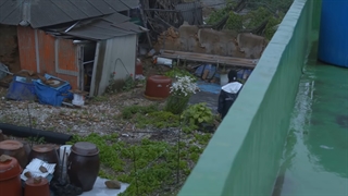 قسمت ششم برنامه‌ی 'Analog Trip' از گروه NCT 127 + زیرنویس فارسی