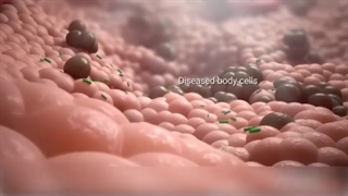 پاسخ به سوالات شما