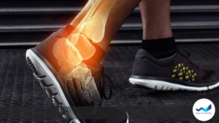 خار پاشنه - موج تا ماده