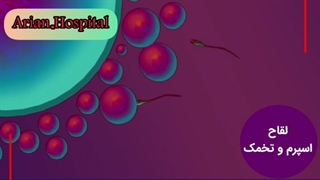 درمان ناباروری با آی وی اف - IVF