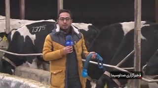 گردنبند هوشمند دام
