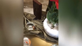 جشن پالارچه 1399