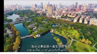 شور و شوق بیست سالگی