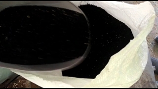 فروش سیاه دانه ایرانی بوجاری شده