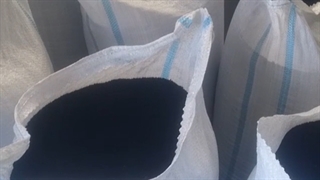 فروش سیاه دانه فله سورت لیزر شده با کیفیت اعلا