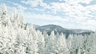 لوگو موشن زمستانی