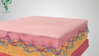 با دستگاه مینی هایفو جوان و زیبا شوید..