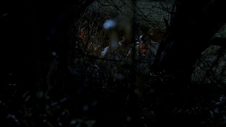 فرار از زندان قسمت ۲۲ فصل ۱ / prison break