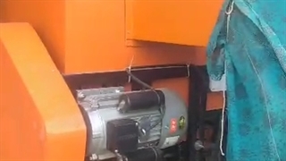 بوجاری تخمه آفنابگردان