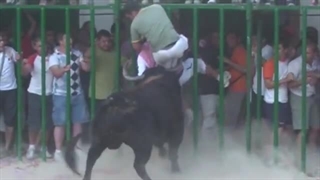 مسابقات مبارزه با گاو وحشی مکزیک 24 دسامبر 2022
