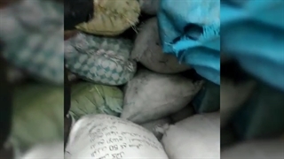 دستگاه زغال ساز خط تولید زغال فشرده چینی کوره صنعتی کوره سنتی