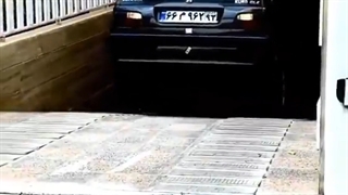 رخ فقط همین