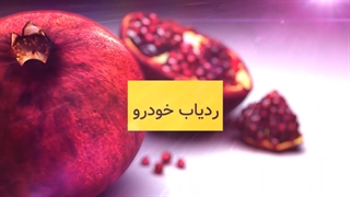 تیزر تبلیغاتی معرفی محصولات برند اطلس ترک