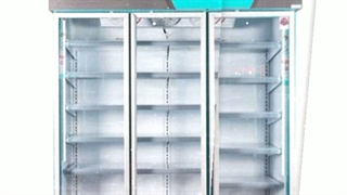 یخچال پروتئینی