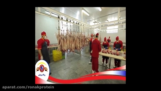 رزومه و خط تولید شرکت روناک پروتئین