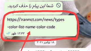 کد رنگ در بازی چیکن گان