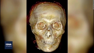 از کشف اسرار فرعون تا درک اعداد توسط نوعی ماهی