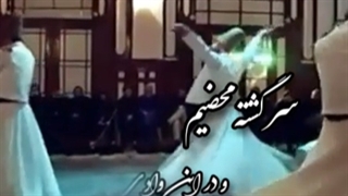 عاقل تر آنیم که دیوانه نباشیم