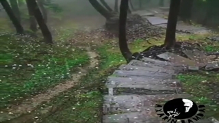 همایون شجریان - هوای گریه ...