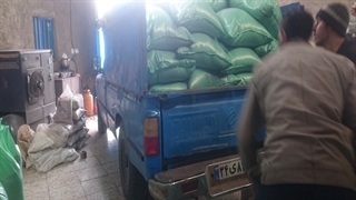 فروش و ارسال سیاه دانه کالر سورتر شده اعلا به مقصد تهران (داپیدو)