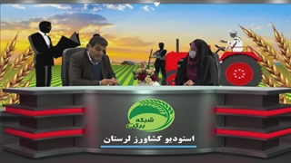 کشاورزی قرار دادی از منظر اقتصاد