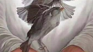 دکلمه شعر مست اگر با دست خالی راهی میخانه است از شاعر محمد خوش بین