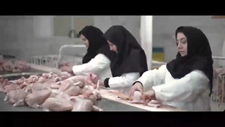 فیلم کوتاه نوراجان