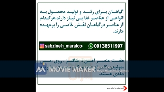 تغذیه ی درختان با عناصر ریز مغذی_مشاوره ی واتساپ09138511997_سبزینه مارال