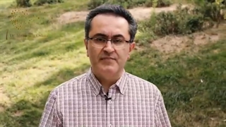 چمن ها به عنوان علت آلرژى