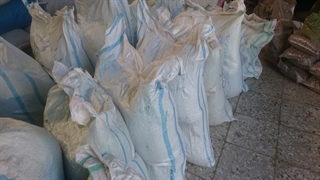 فروش و ارسال سیاه دانه کالر سورت لیزر شده به مقصد شیراز (داپیدو)