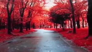 محمدرضا شجریان - ناگهان پرده برانداخته ای یعنی چه