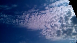 فیلمبردار-حسام الدین شفیعیان