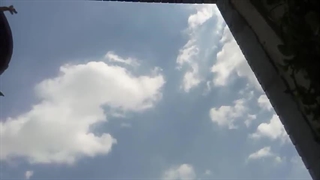 فیلمبردار-حسام الدین شفیعیان