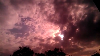 فیلمبردار-حسام الدین شفیعیان