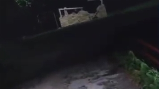 حتما ببینید^_^