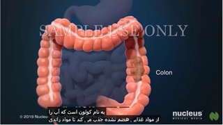کیسه کلستومی چیست؟