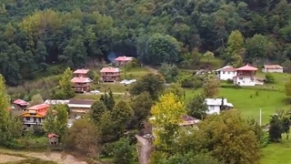 کلبه‌های چوبی با چشم‌انداز جنگل