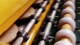 بهترین قالیشویی های نکا با نقدونه