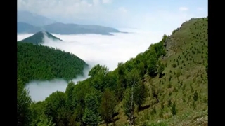 محمدرضا شجریان - هوای وطنم