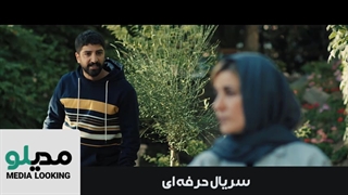 دانلود سریال حرفه ای